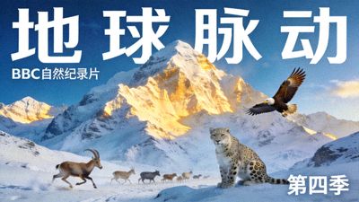 自然纪录片《地球脉动》海报，壮丽的雪山与野生动物画面